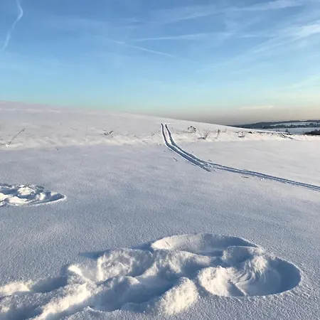 Апартаменты Schoen Hier - Im Harz