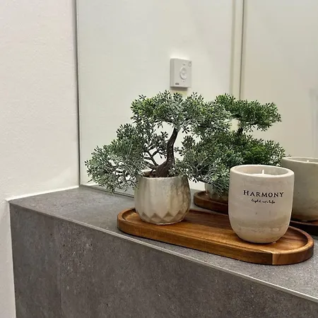 Schoen Hier - Im Harz Appartement *